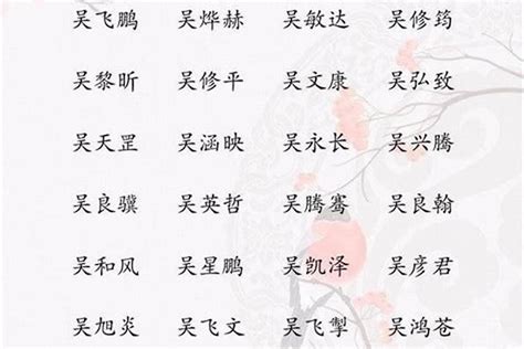 吳 取名|姓吴男孩名字大全